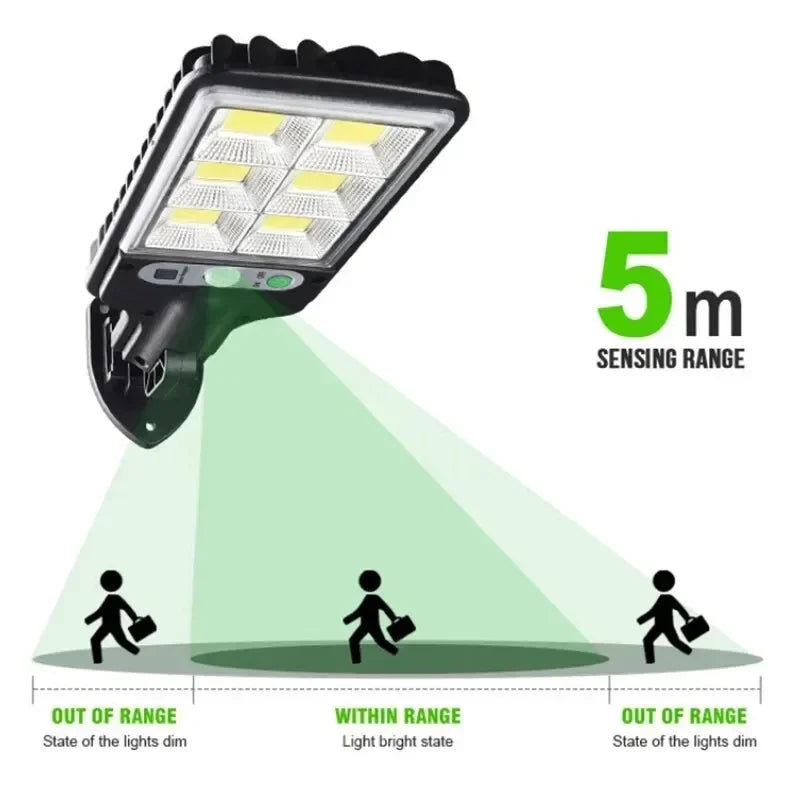Induction Solar Light