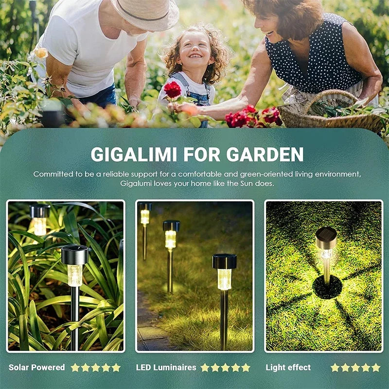 🟢 Outdoor Decor Lights