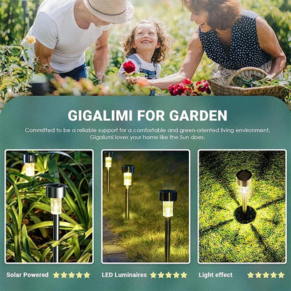 🟢 Outdoor Decor Lights