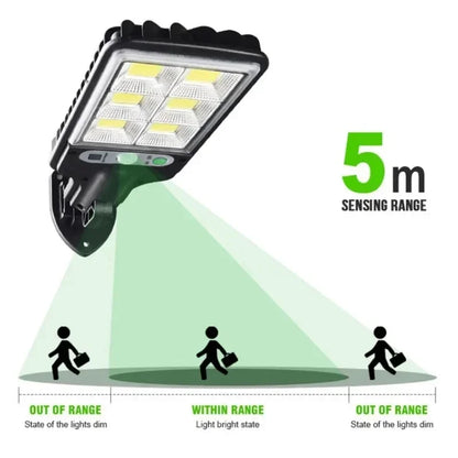 Induction Solar Light